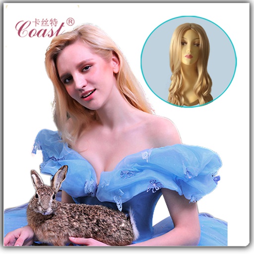 CINDERELLA WIG